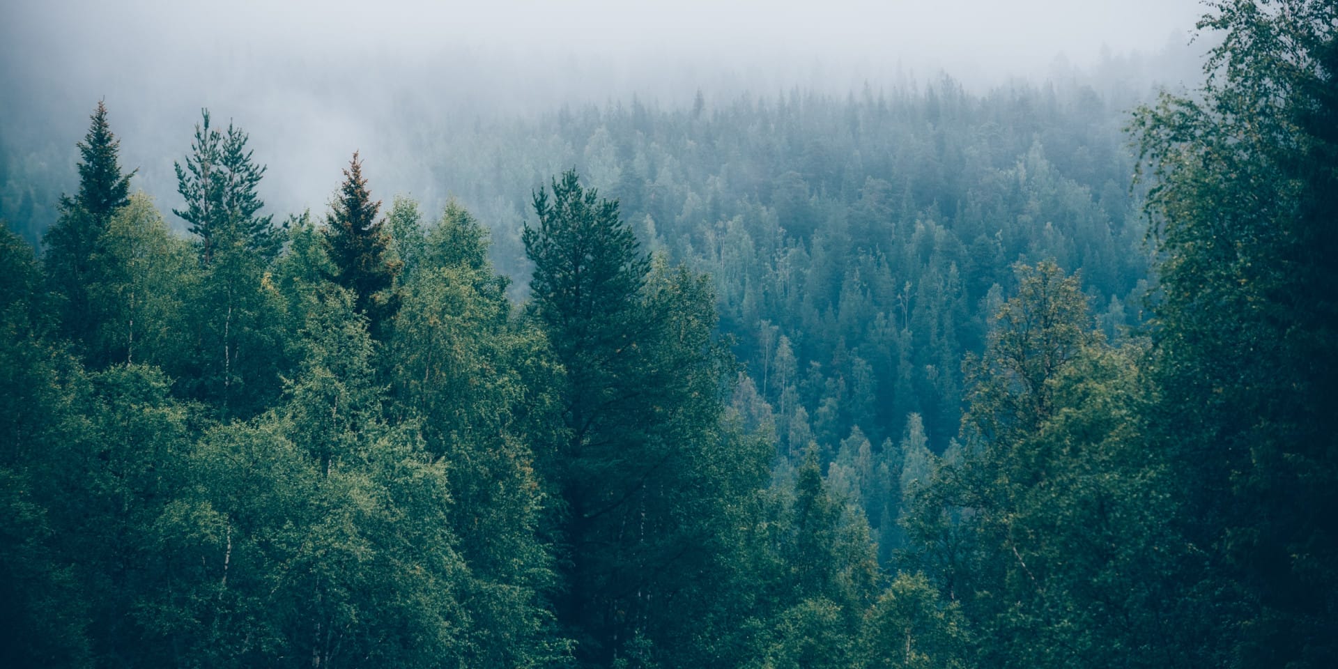 Nordic Music Days: Wood Works